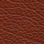 pelle-buffalo-marrone