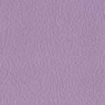 pelle-smerigliata-lilla
