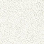 pelle-smerigliata-panna