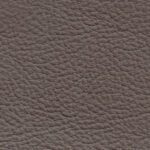 pelle-smerigliata-talpa