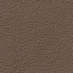 pelle-smerigliata-terra