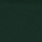 pelle-smerigliata-verde-scuro