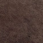 pelle-terra-5702-palude